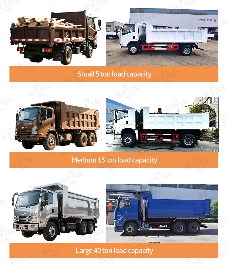 Isuzu Large Dump Truck Small Dump Truck Medium Dump Truck for Choice