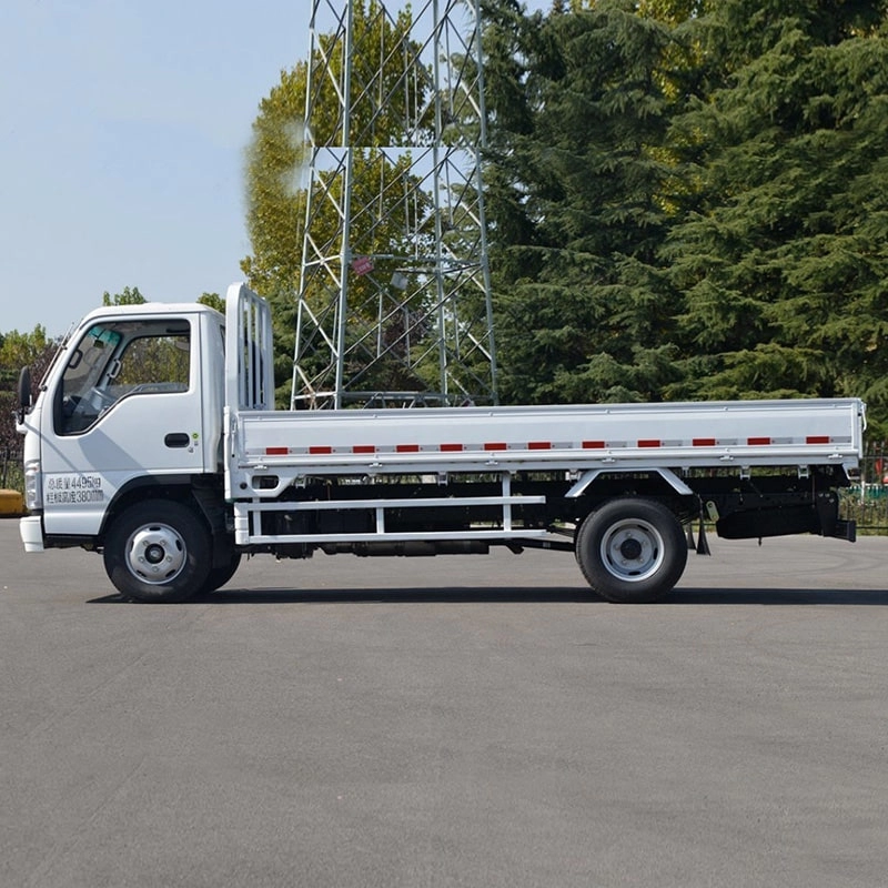 Isuzu Small Transportion Box Cargo Van Truck