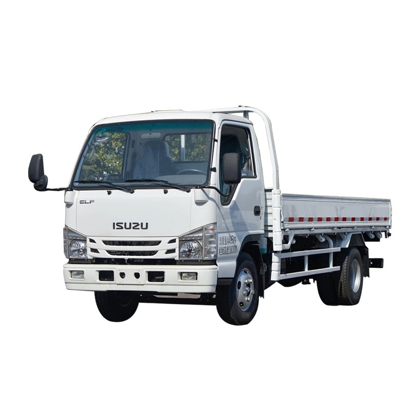 Isuzu Small 3.5 Ton Cargo Truck 