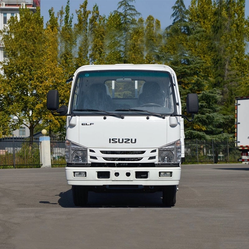 Isuzu Small Delivery Truck Front View