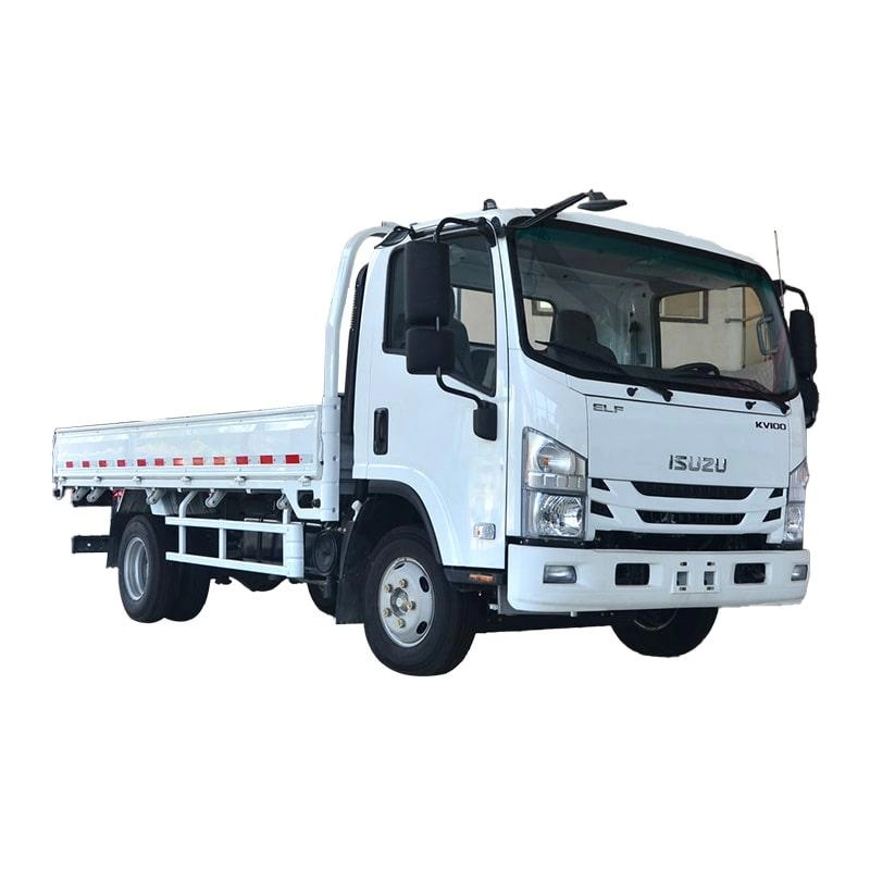 Isuzu Small Cargo Truck