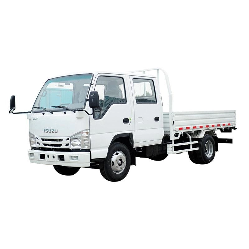 Isuzu Small Cargo Van Truck   