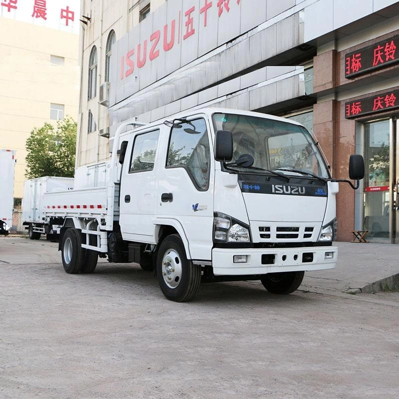 Isuzu 600P Goods Carrying Cargo Truck