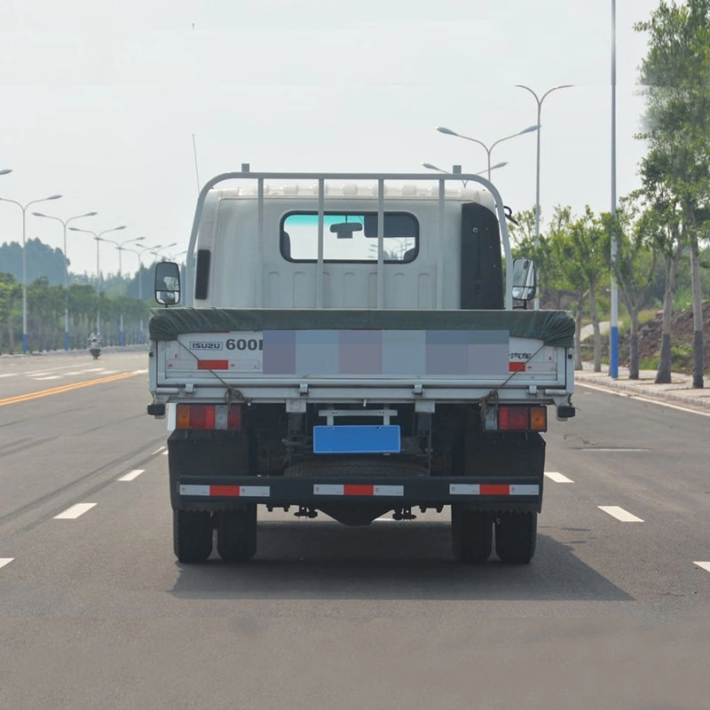 Isuzu 5 Ton Cargo Truck Back View