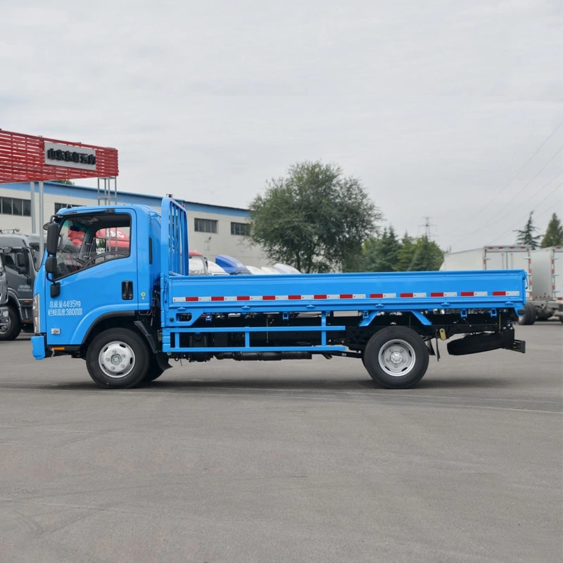 Isuzu Small Cargo Van Truck