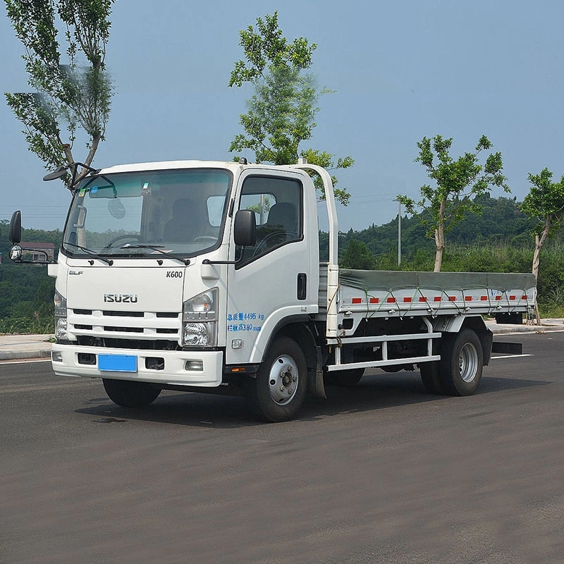Isuzu 5 Ton Cargo Truck for Sale