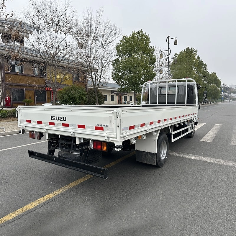 Isuzu Cargo Truck for Sale