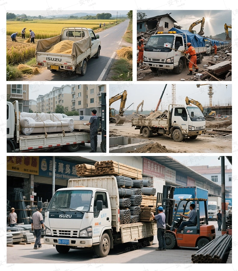 Isuzu Cargo Truck Application