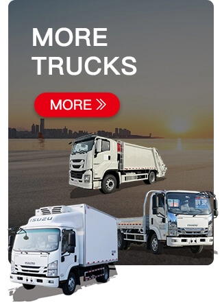 ISUZU Const Truck