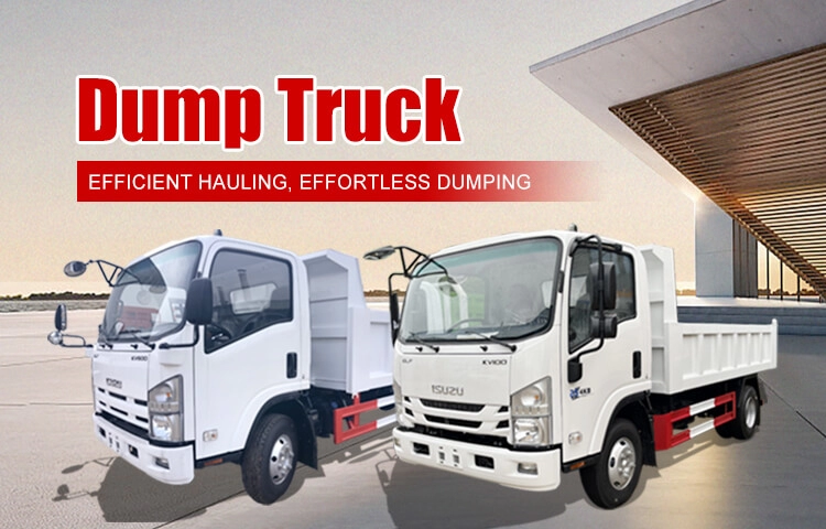 collection-banner-image