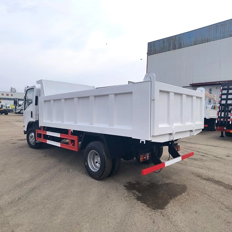 Isuzu ELF Dump Truck Back Side View