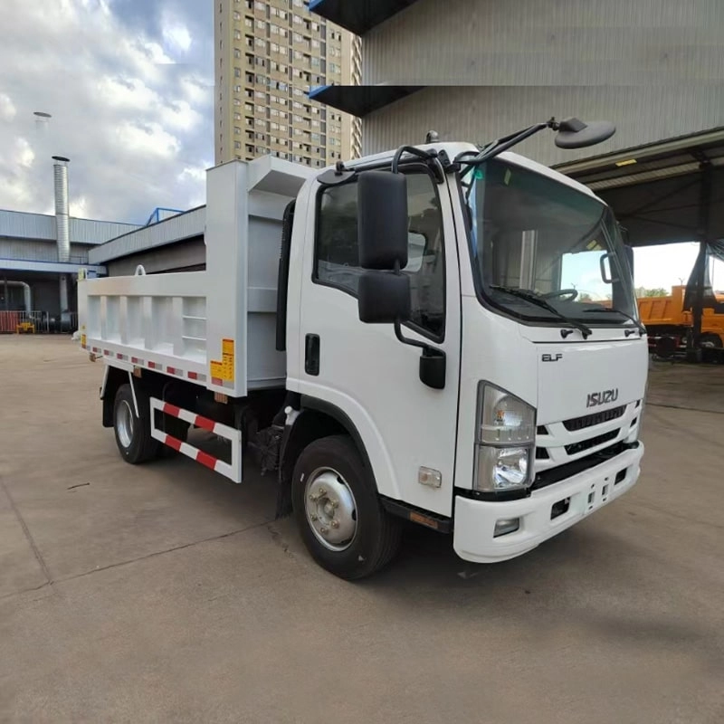 Isuzu Sand Dump Truck Side View