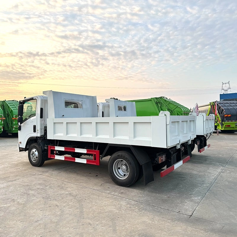 Isuzu Tipper Truck Back Side View