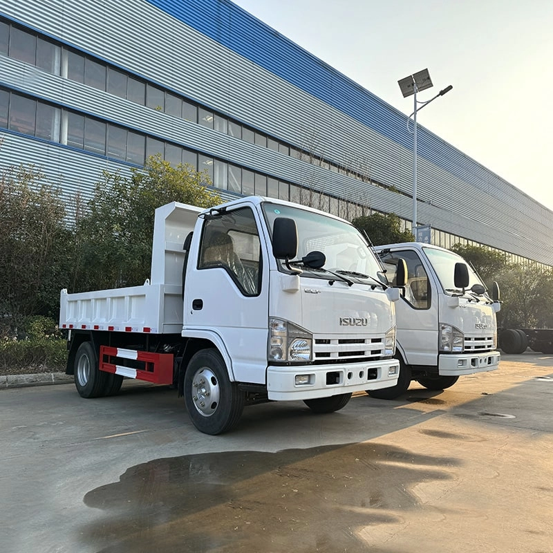 Isuzu Small Mining Dumper Truck Side View