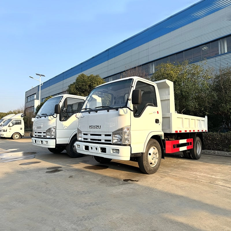 Isuzu Small Tipper Truck Side View